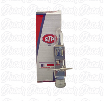 Pack 10 Ampolletas H112V 55W STP 